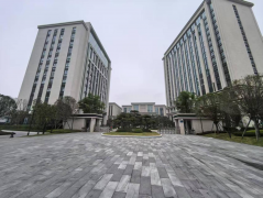 周德强带领金牛高管委暴